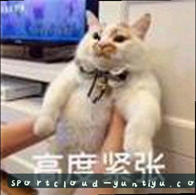李婷